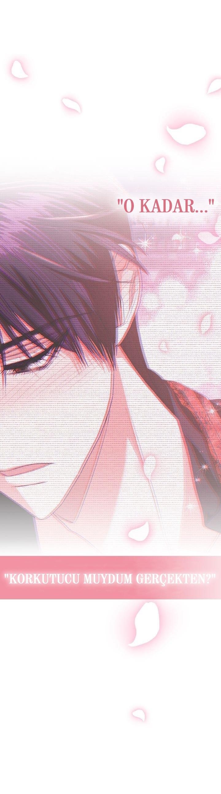 50-cm2xdfr0s0001tt82570od8ls