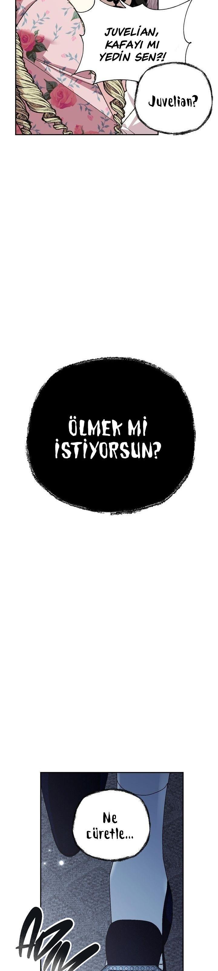 47-cm2xdfr0s0001tt82570od8ls