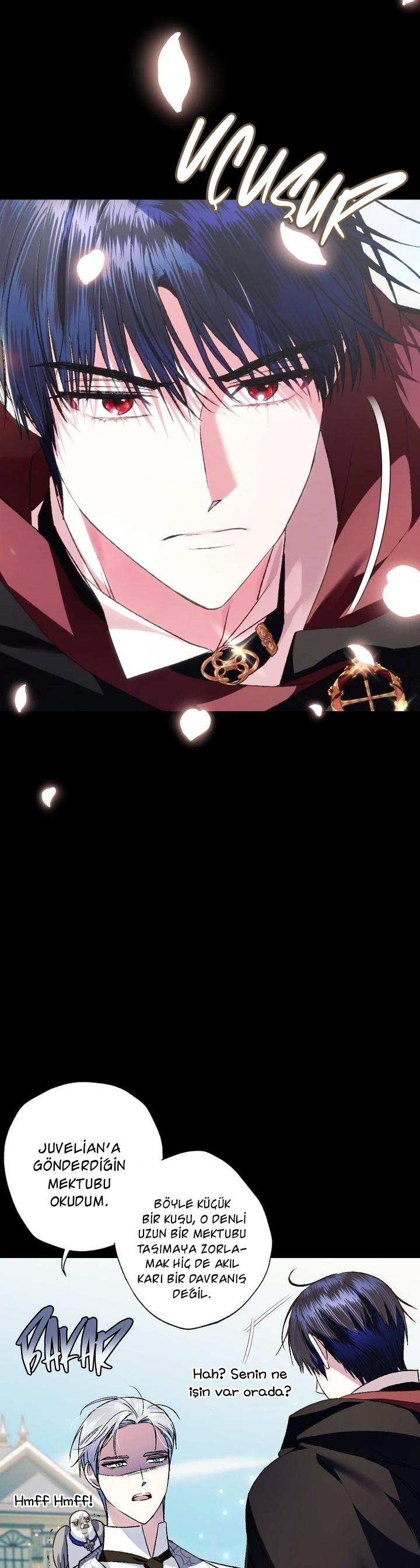 6-cm2xdfr0s0001tt82570od8ls