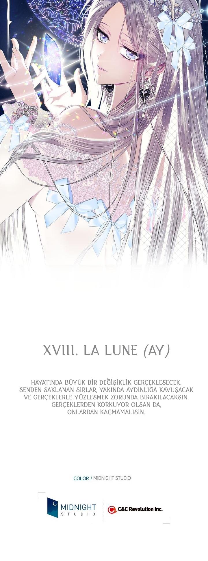51-cm2xdfr0s0001tt82570od8ls