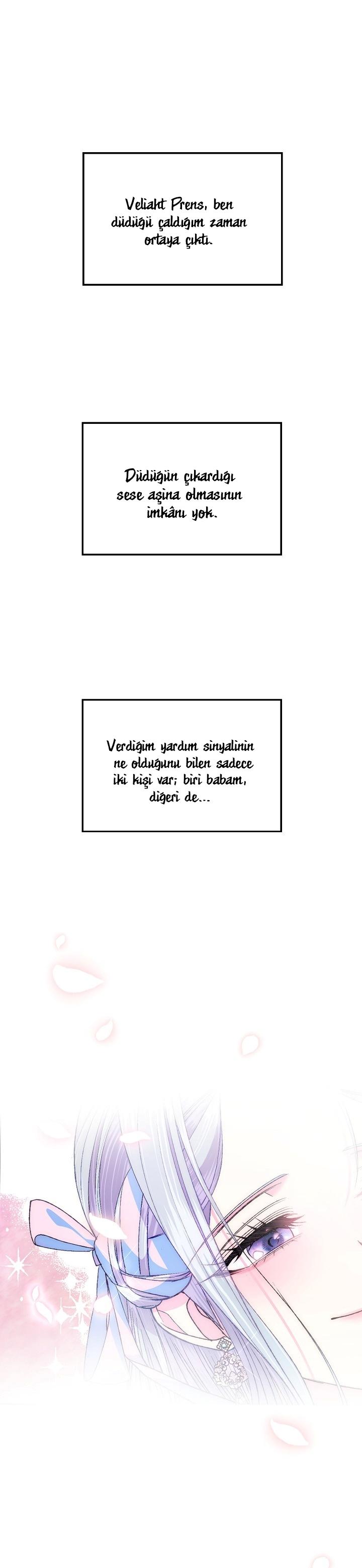 2-cm2xdfr0s0001tt82570od8ls
