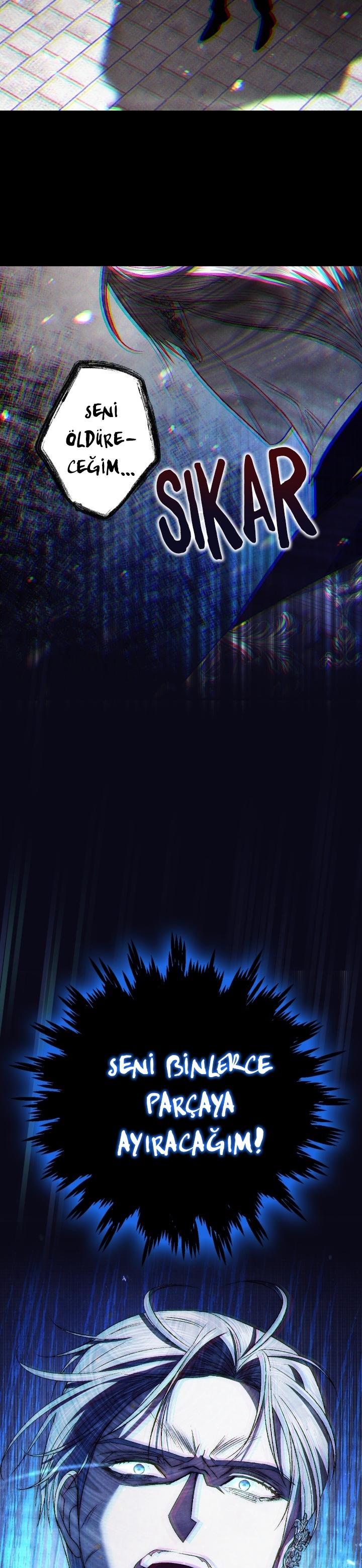 33-cm2xdfr0s0001tt82570od8ls