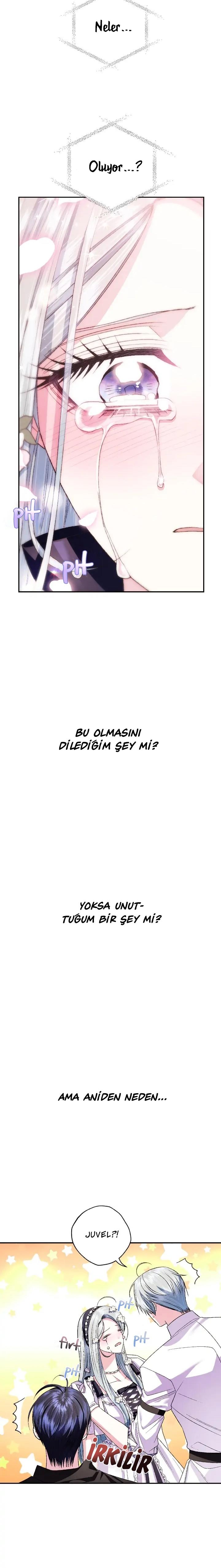 11-cm2xdfr0s0001tt82570od8ls