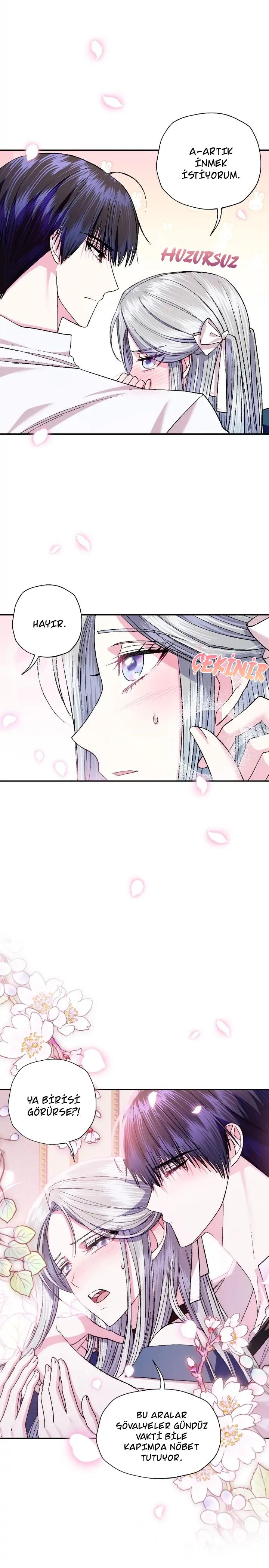 27-cm2xdfr0s0001tt82570od8ls