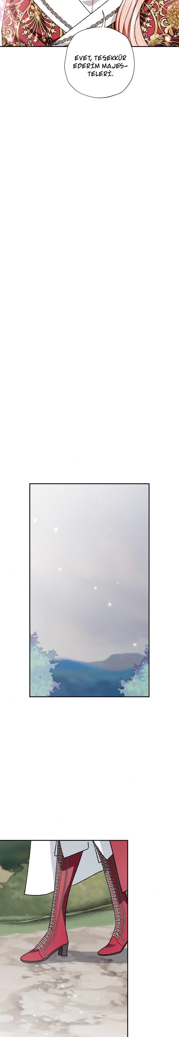 20-cm2xdfr0s0001tt82570od8ls