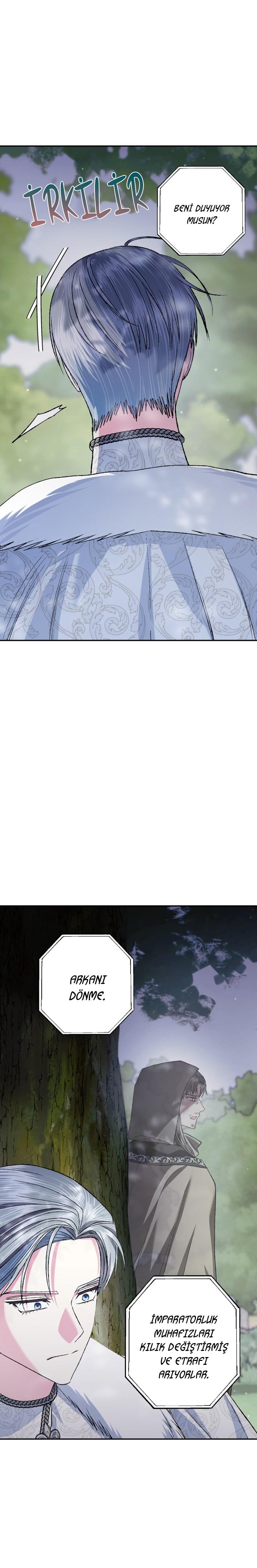 13-cm2xdfr0s0001tt82570od8ls