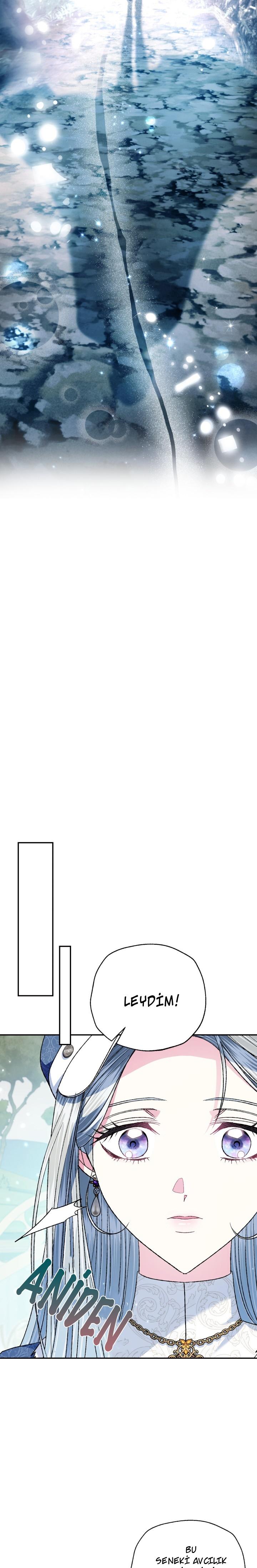 8-cm2xdfr0s0001tt82570od8ls
