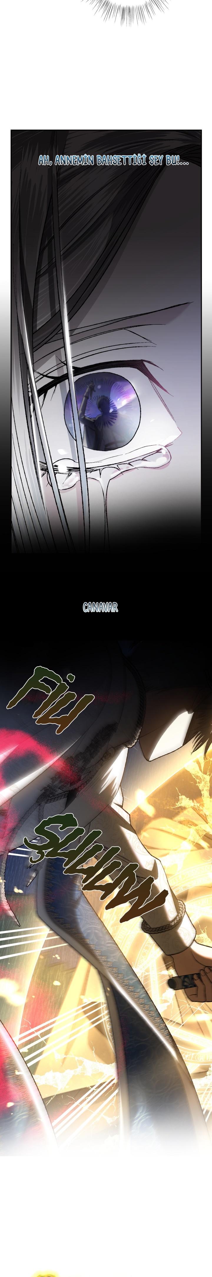 13-cm2xdfr0s0001tt82570od8ls