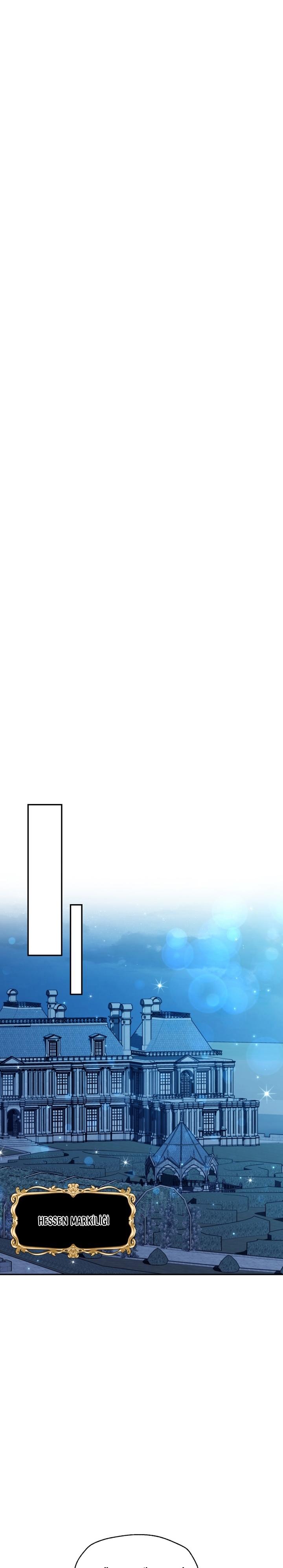31-cm2xdfr0s0001tt82570od8ls