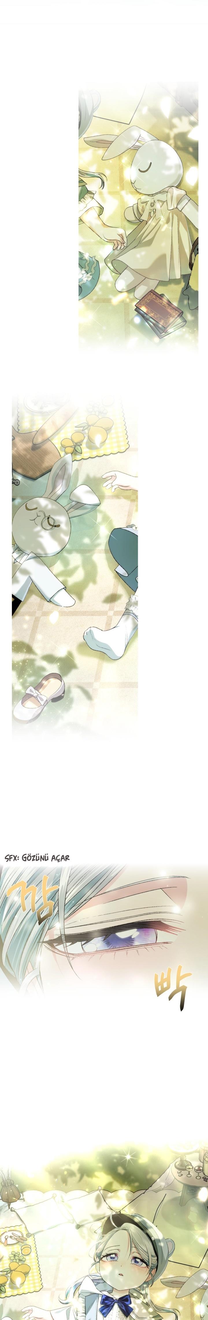 35-cm2xdfr0s0001tt82570od8ls