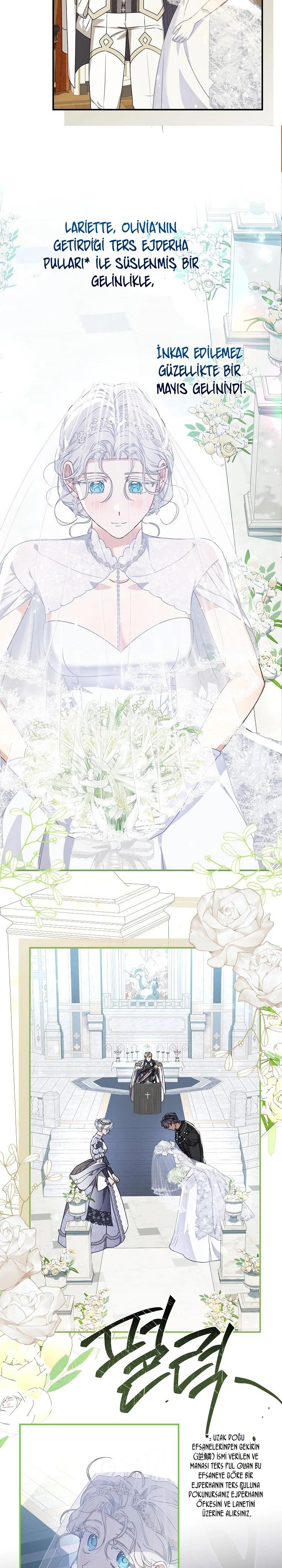 3-cmc1vvo430025phxcd4xhnki2