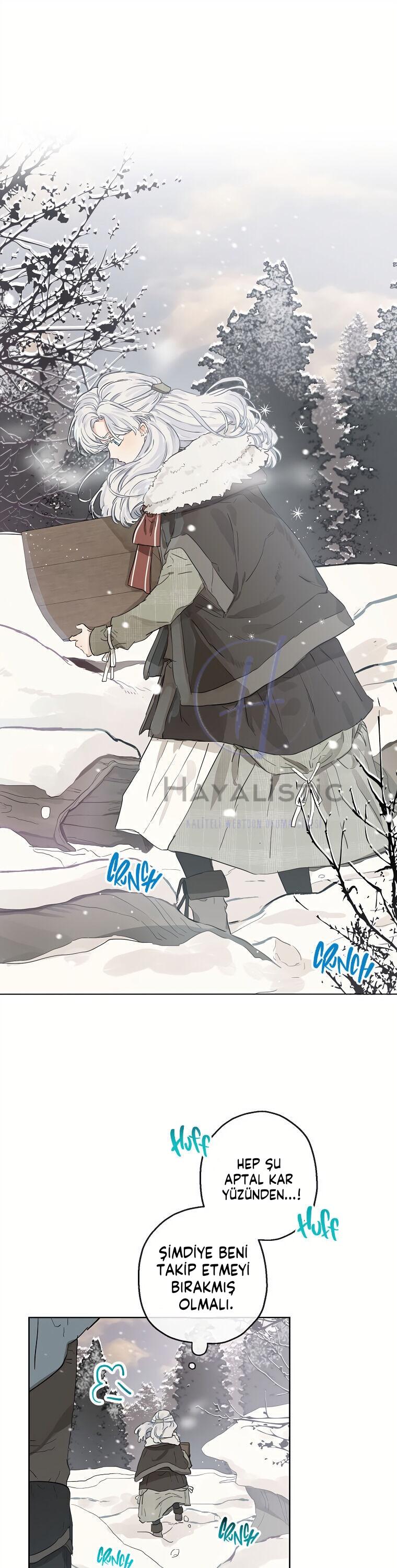 2-cmc1vvo430025phxcd4xhnki2
