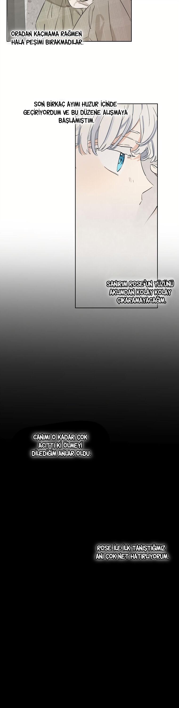 17-cmc1vvo430025phxcd4xhnki2