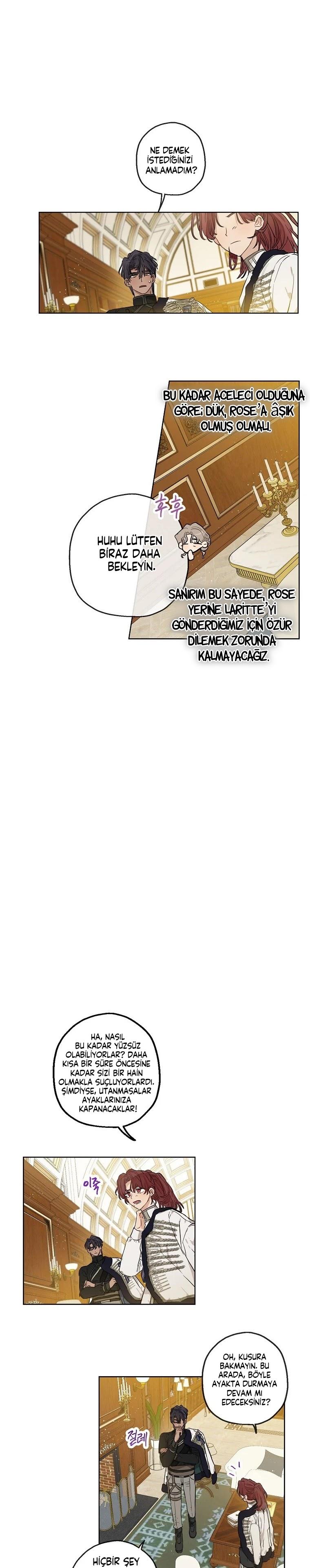 7-cmc1vvo430025phxcd4xhnki2