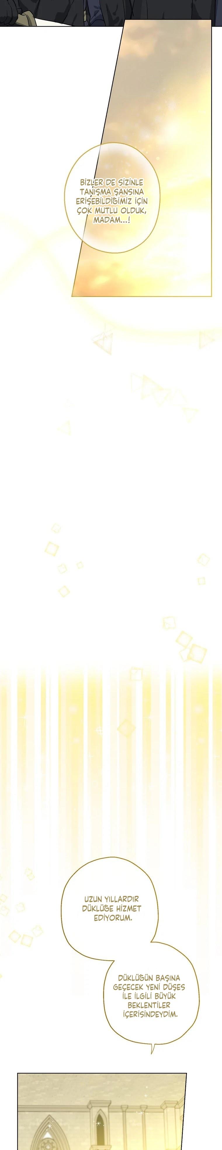 11-cmc1vvo430025phxcd4xhnki2