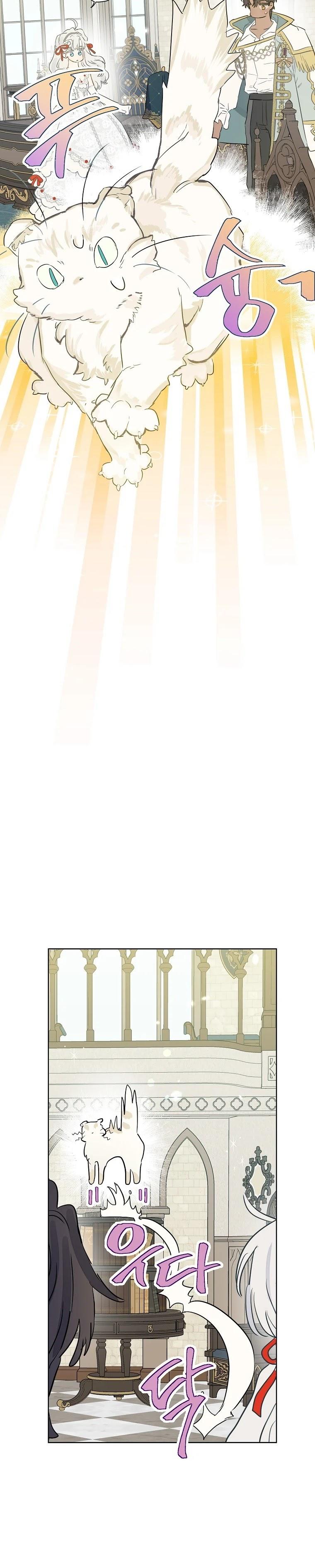 13-cmc1vvo430025phxcd4xhnki2