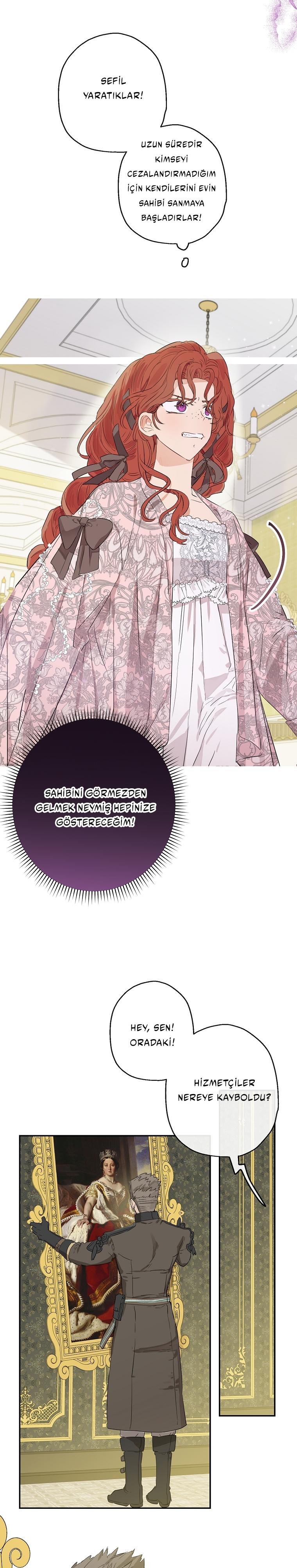 7-cmc1vvo430025phxcd4xhnki2