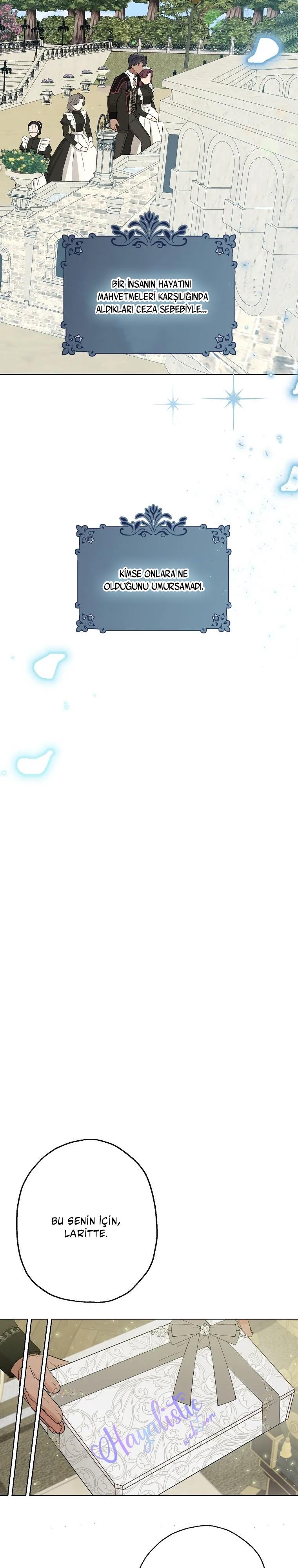 17-cmc1vvo430025phxcd4xhnki2