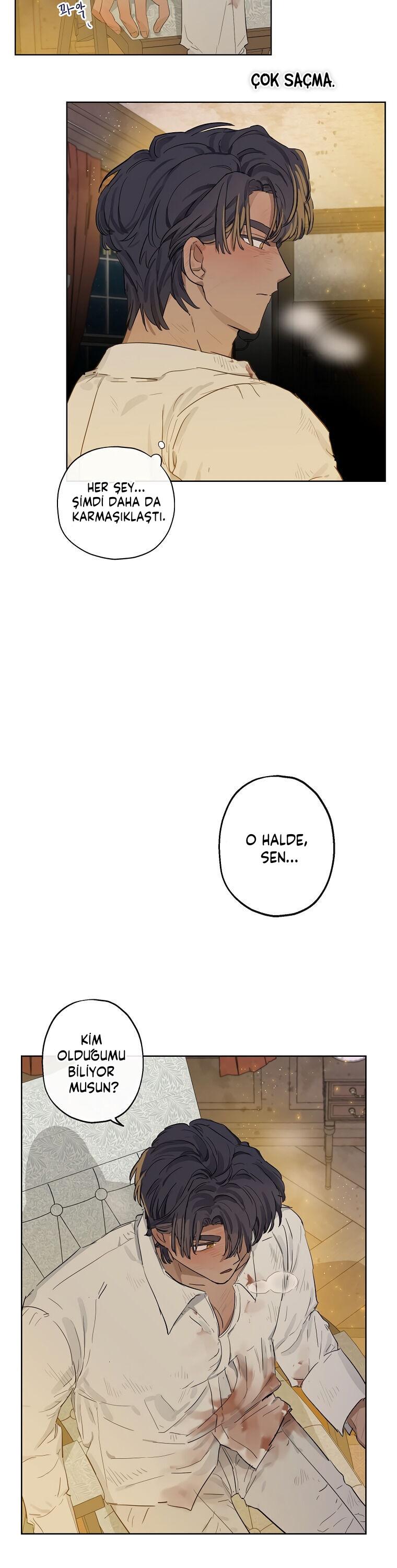 20-cmc1vvo430025phxcd4xhnki2