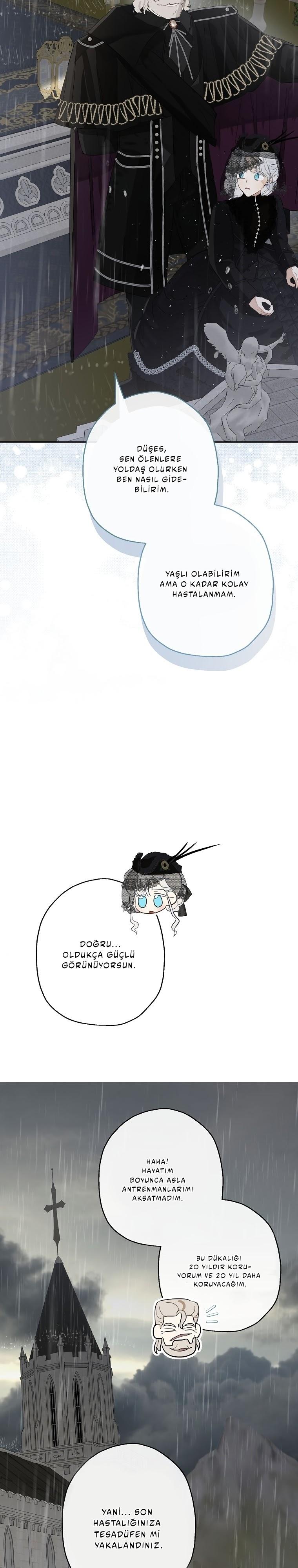 20-cmc1vvo430025phxcd4xhnki2