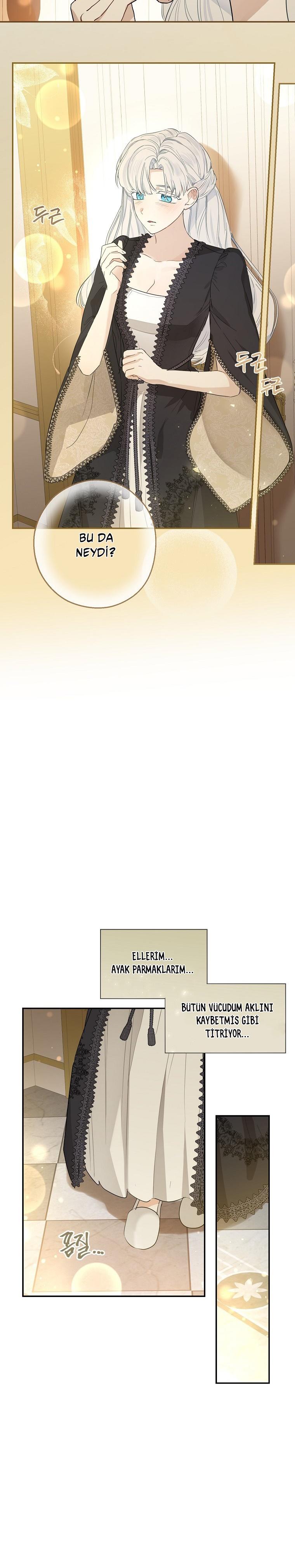 9-cmc1vvo430025phxcd4xhnki2