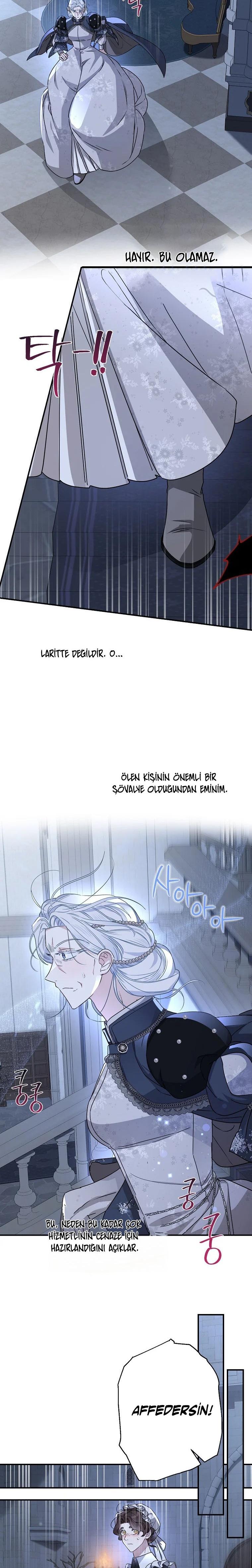 23-cmc1vvo430025phxcd4xhnki2