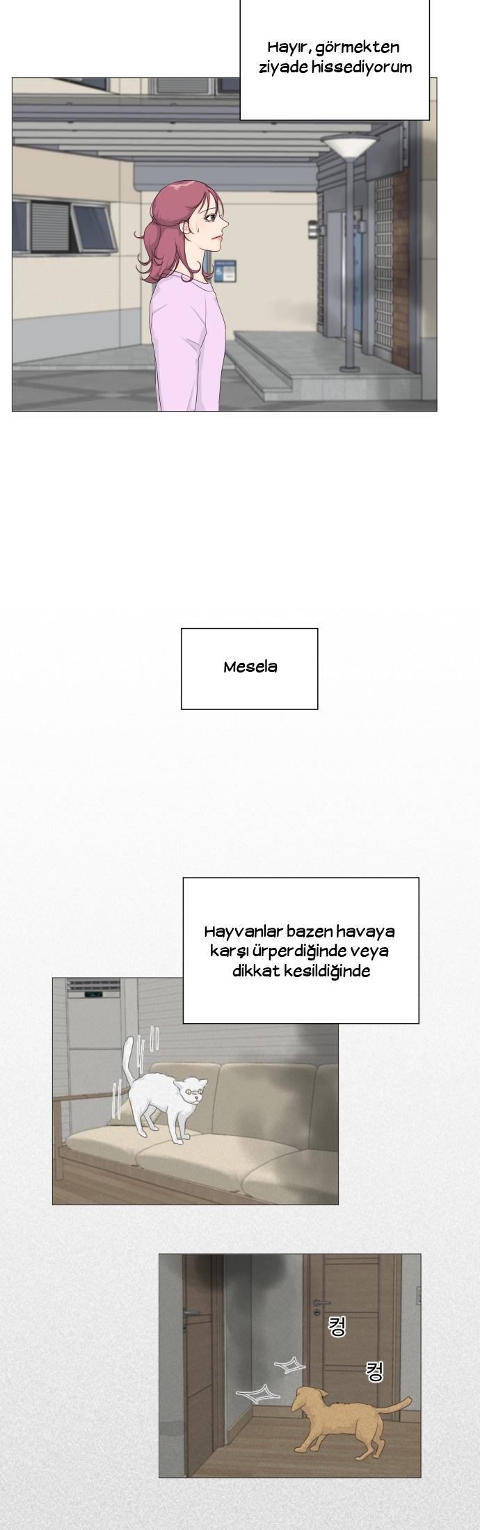 3-cmc1vvo430025phxcd4xhnki2