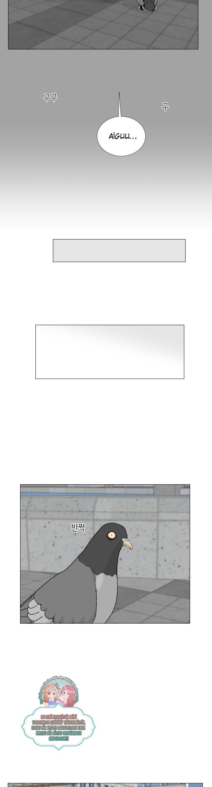 28-cmc1vvo430025phxcd4xhnki2