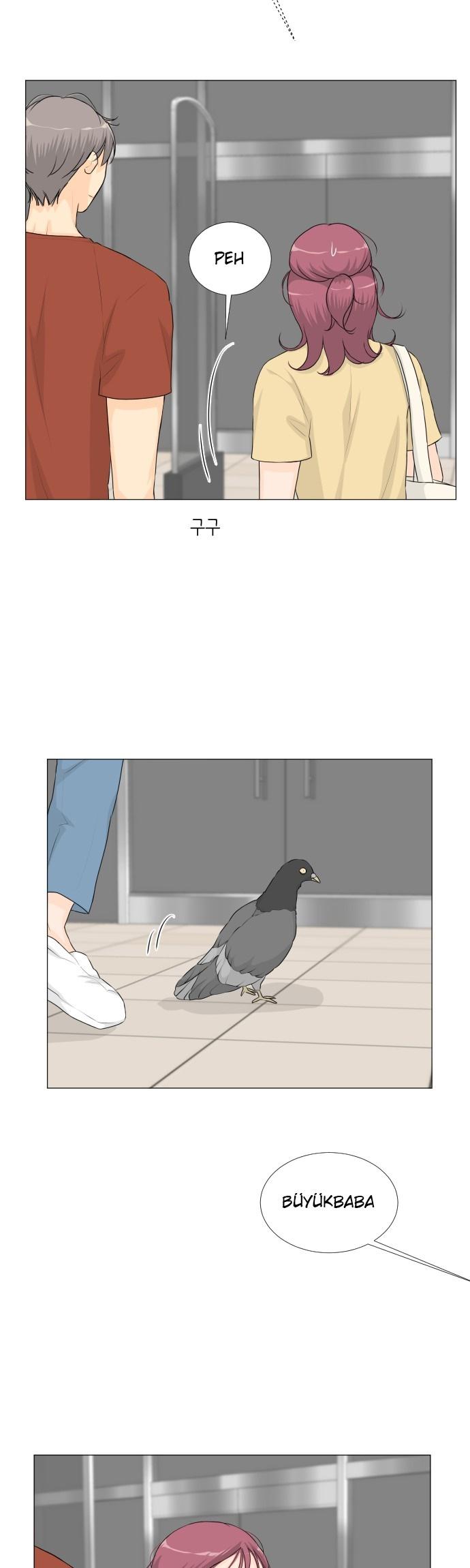 14-cmc1vvo430025phxcd4xhnki2