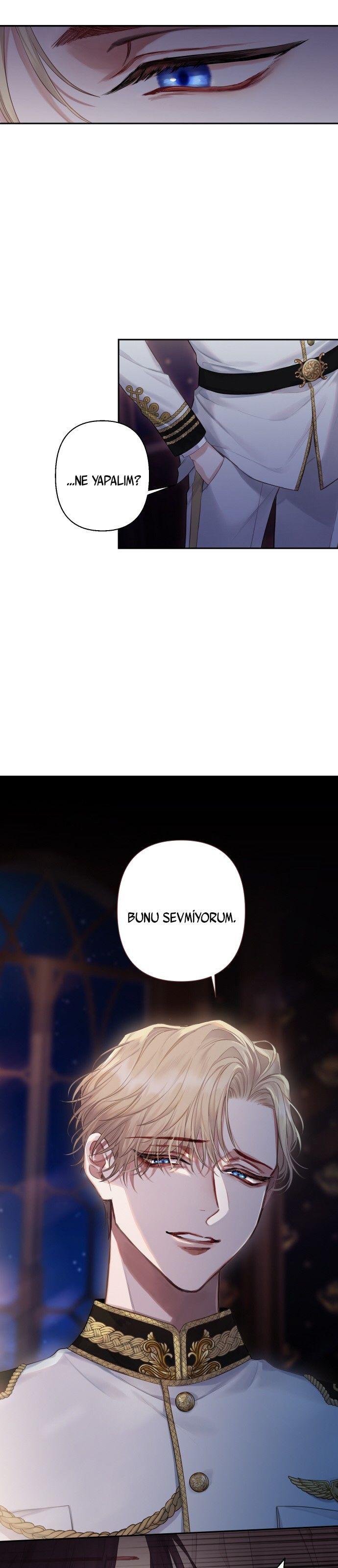41-cmnq2268807i4ucwa0pciz3a1