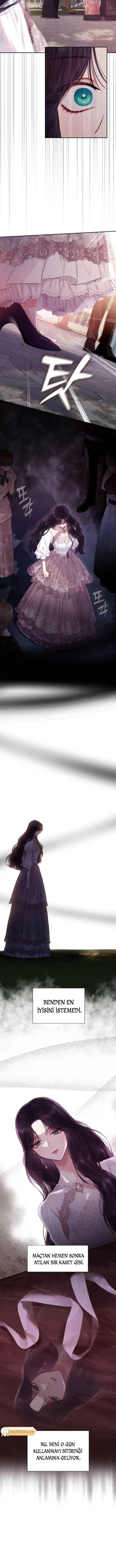 8-cmnq2268807i4ucwa0pciz3a1
