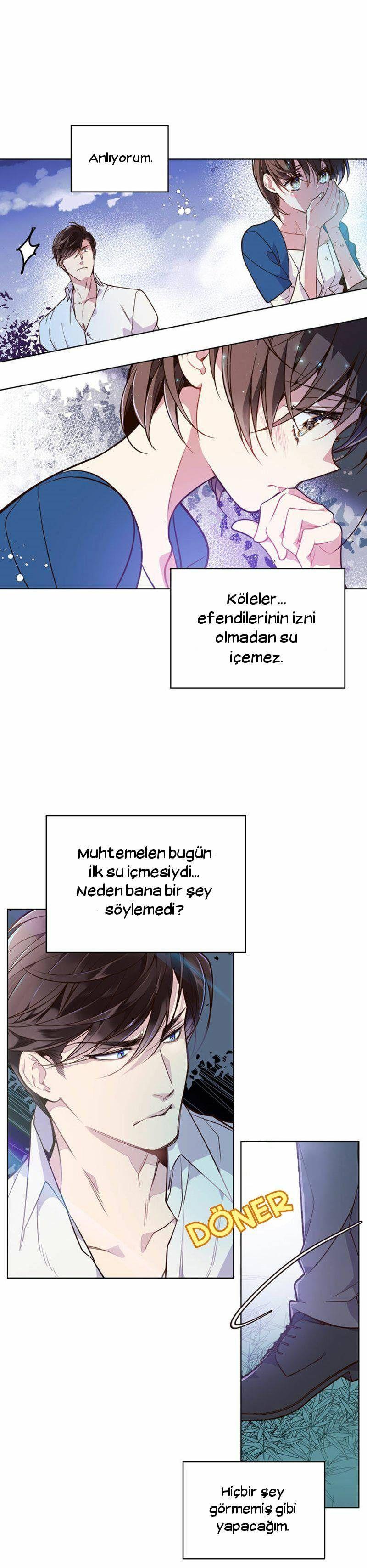 17-cmnq2268807i4ucwa0pciz3a1