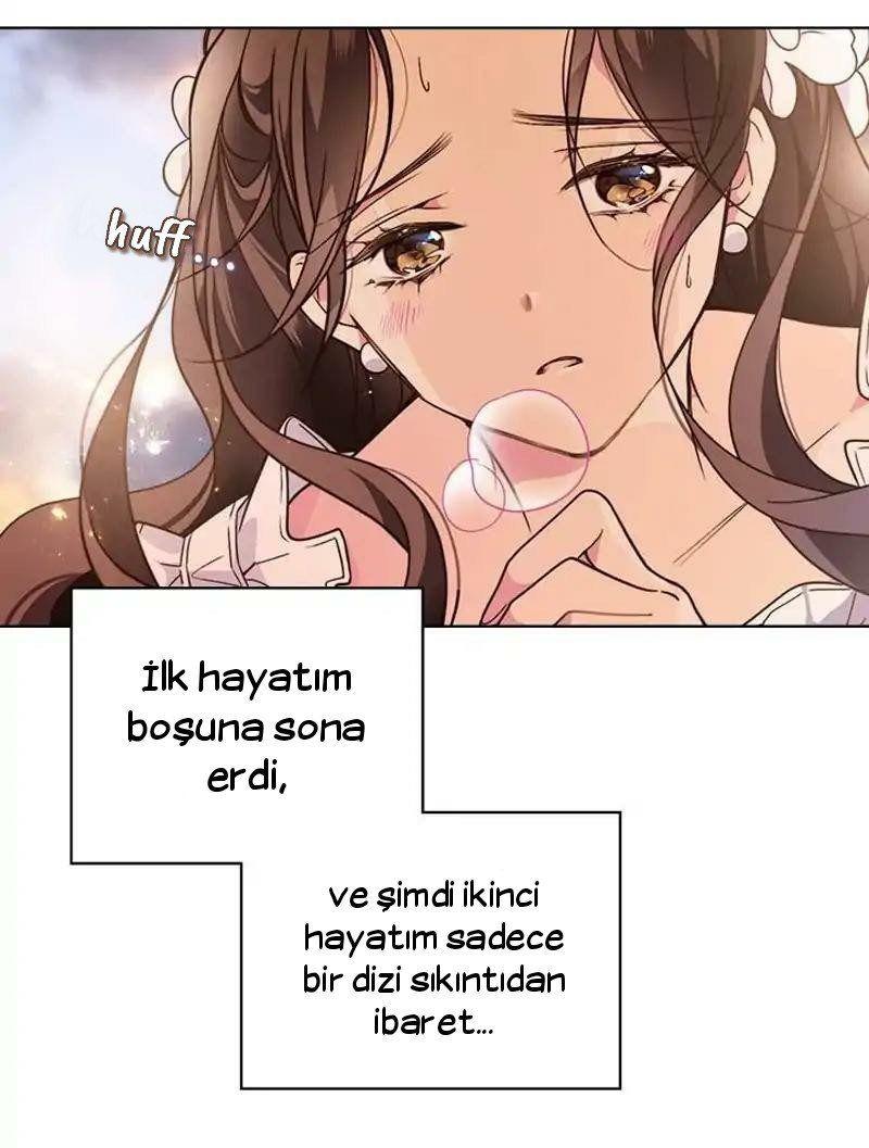 28-cmnq2268807i4ucwa0pciz3a1