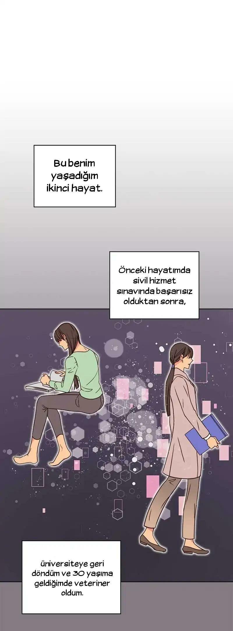 29-cmnq2268807i4ucwa0pciz3a1