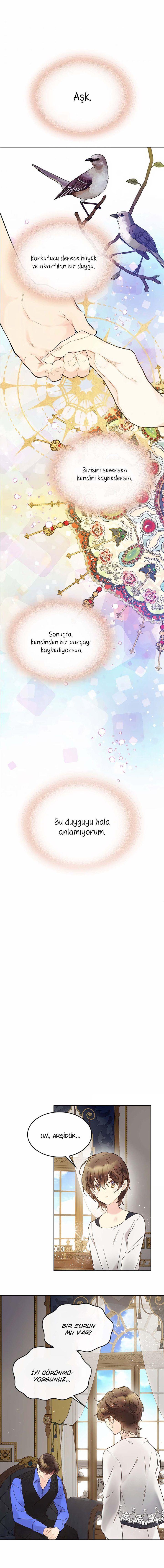 5-cmnq2268807i4ucwa0pciz3a1