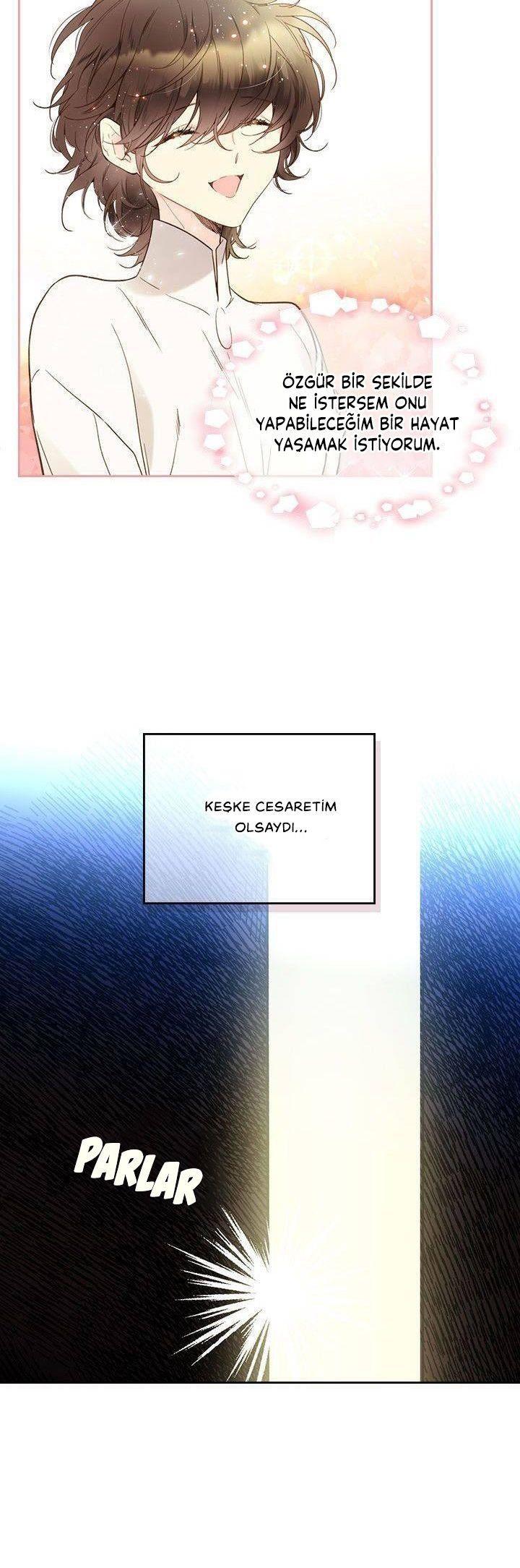 17-cmnq2268807i4ucwa0pciz3a1