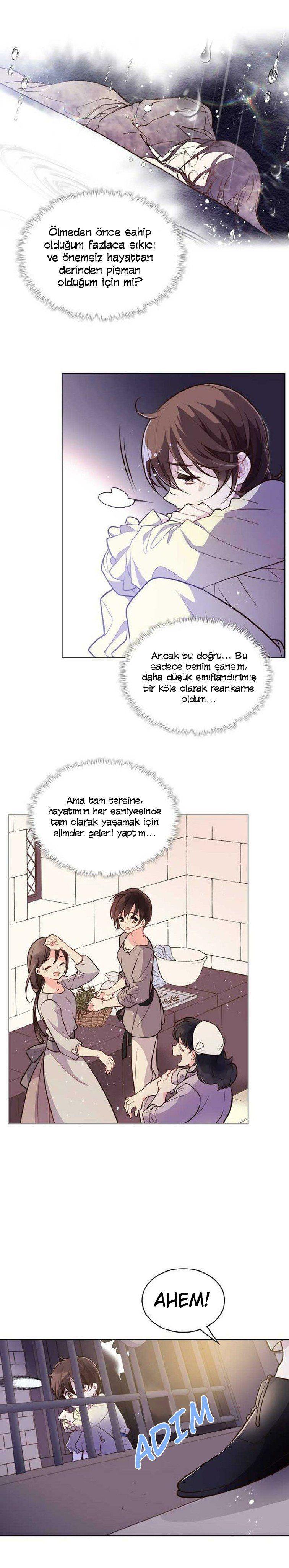 9-cmnq2268807i4ucwa0pciz3a1