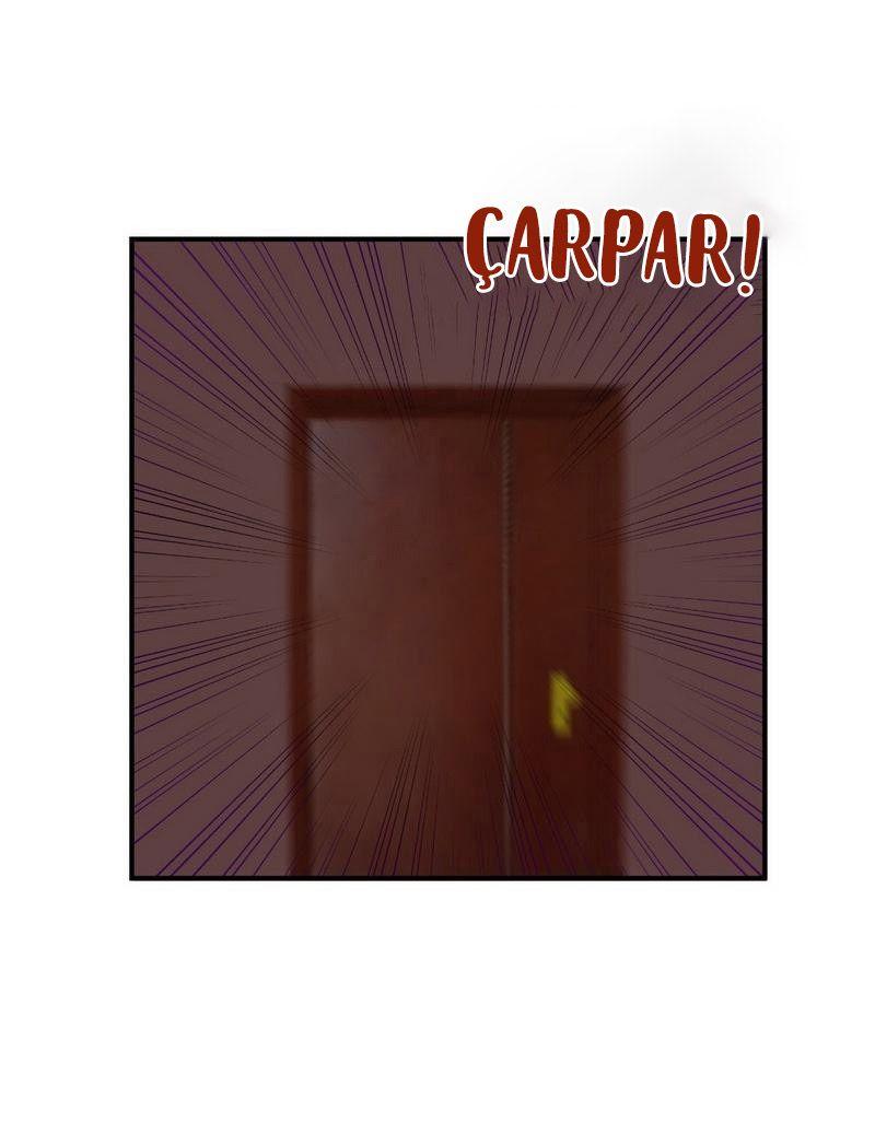 6-cm2i3brbw0000vekkacvb0m23