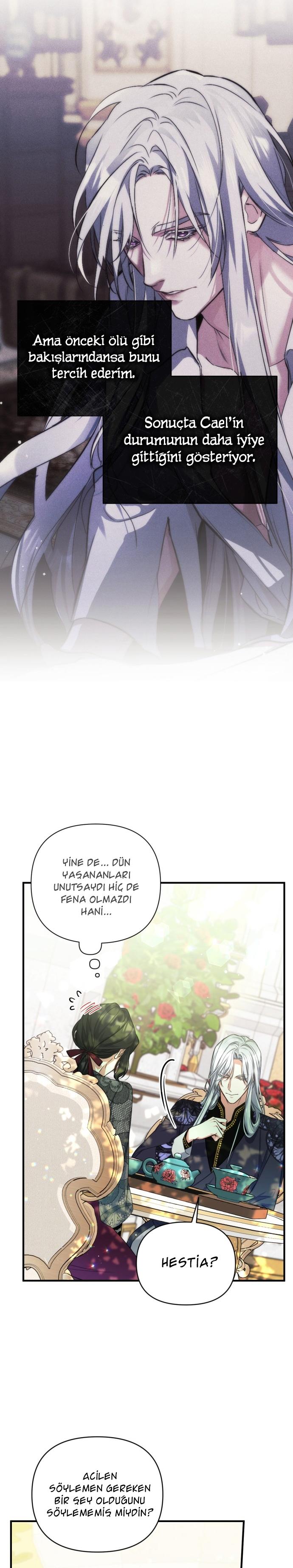 7-cmc1vvo430025phxcd4xhnki2