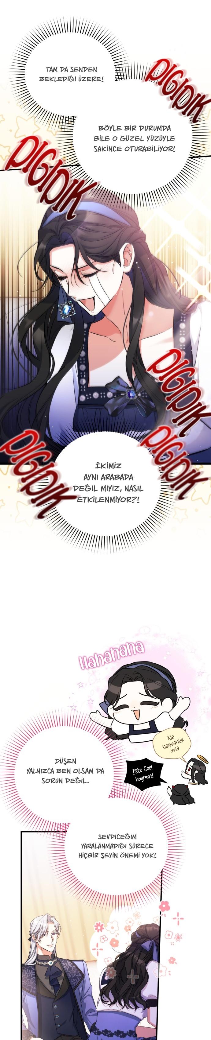 5-cmc1vvo430025phxcd4xhnki2