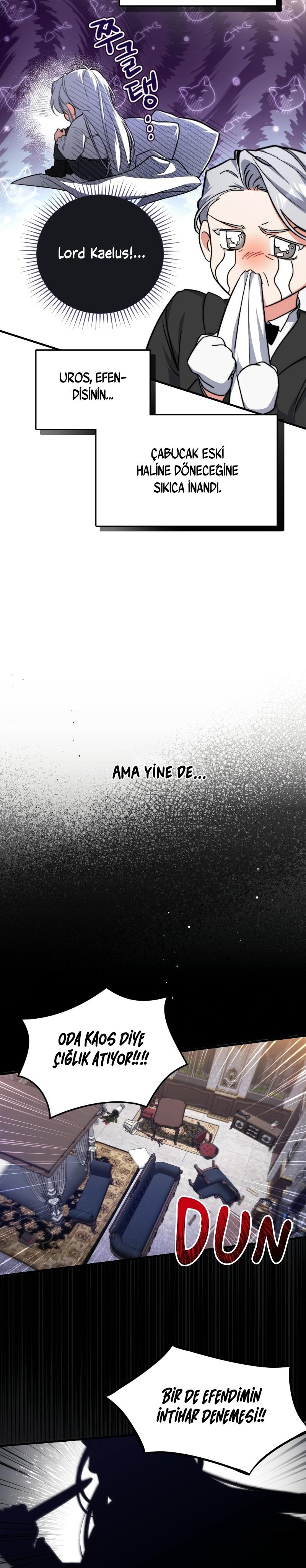 3-cmc1vvo430025phxcd4xhnki2