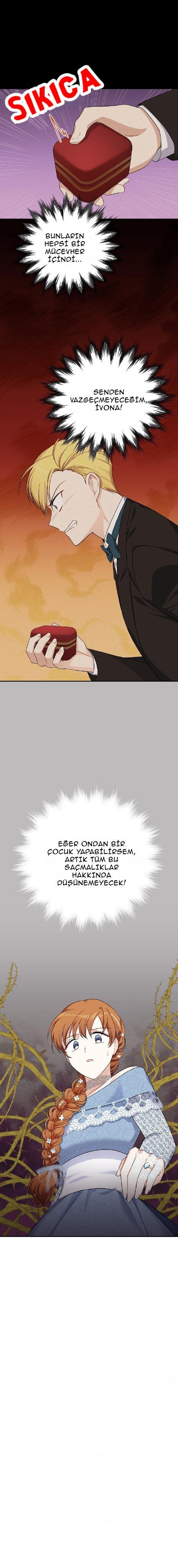 12-cmnr89xt50cr1ucwa727zlm0s