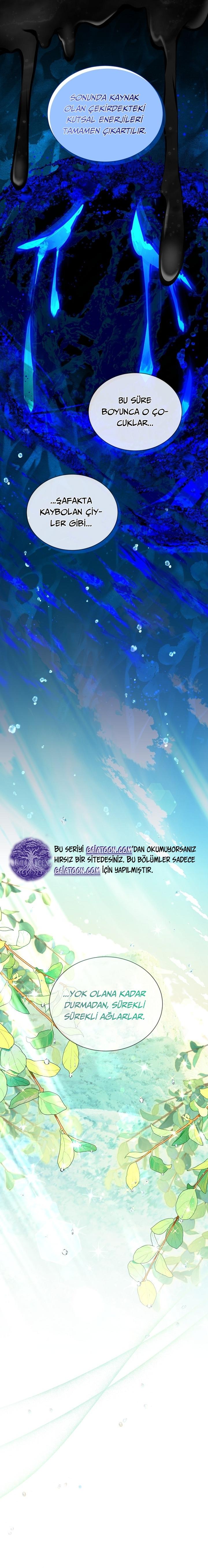 7-cmnr89xt50cr1ucwa727zlm0s