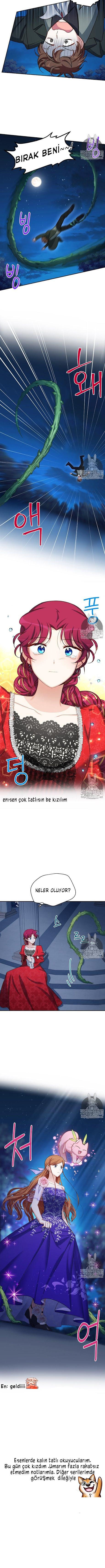 10-cmnr89xt50cr1ucwa727zlm0s