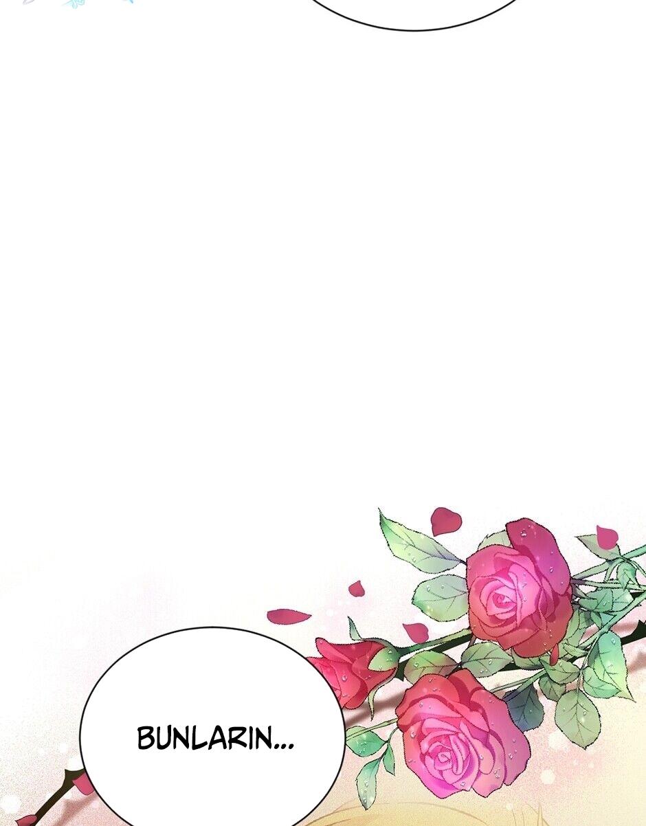81-cmnr89xt50cr1ucwa727zlm0s