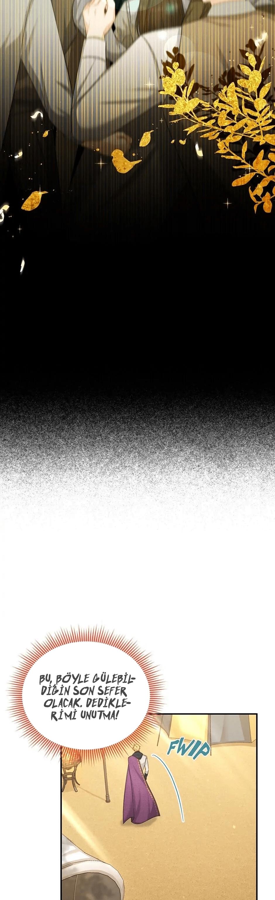 8-cmnr89xt50cr1ucwa727zlm0s