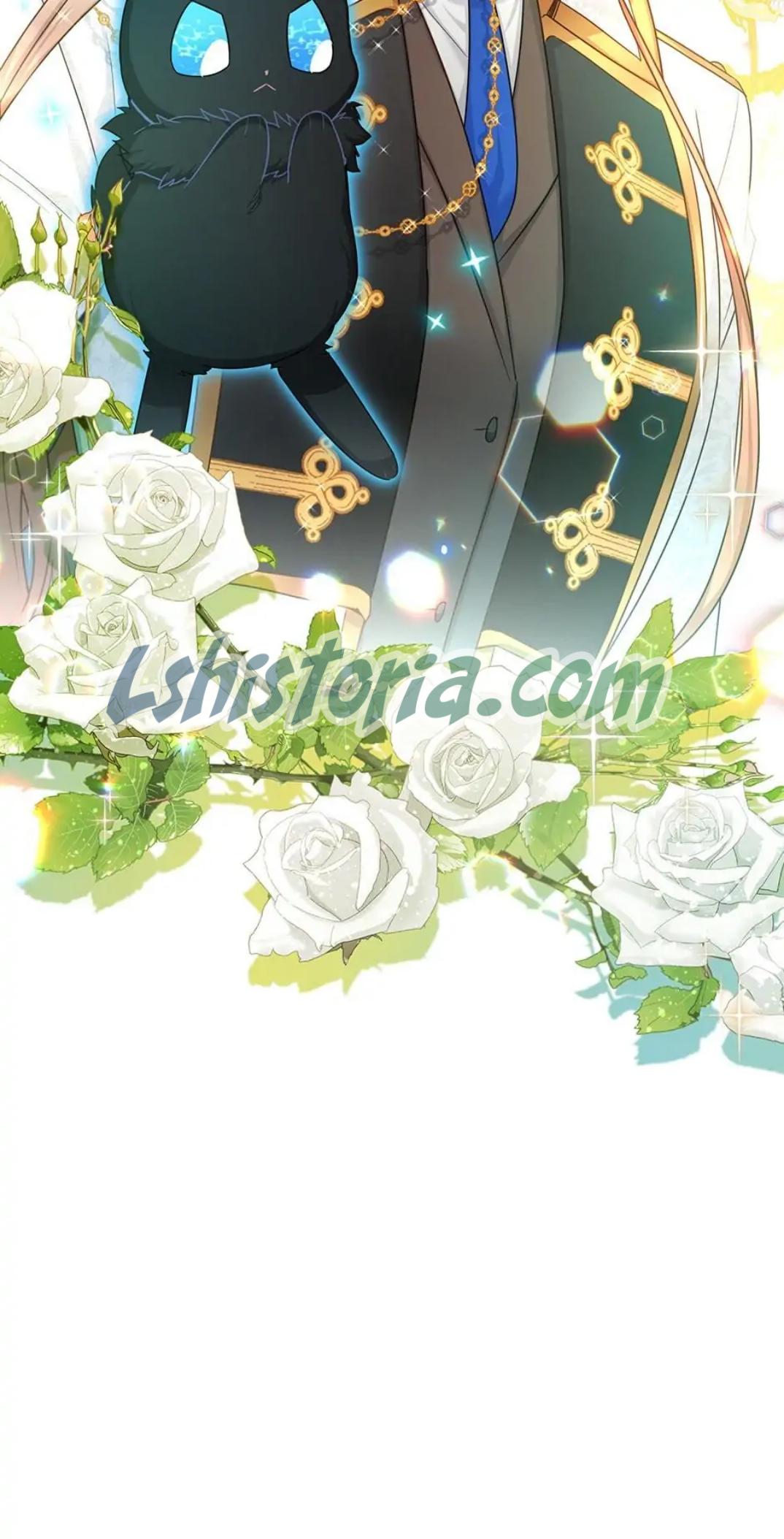 43-cmnr89xt50cr1ucwa727zlm0s