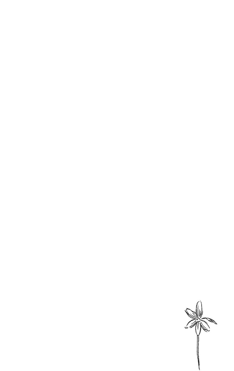 24-cm2rk5cgq0000q6obnukp4wev