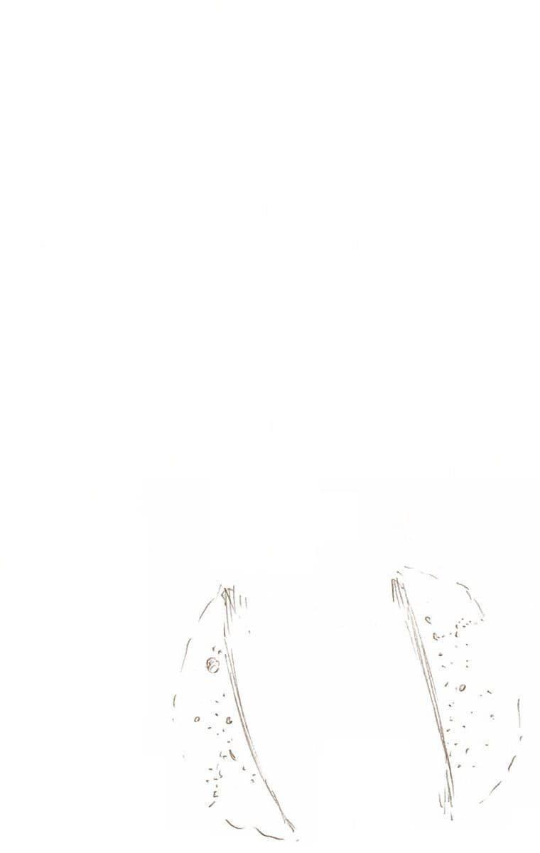 18-cm2i3brbw0000vekkacvb0m23
