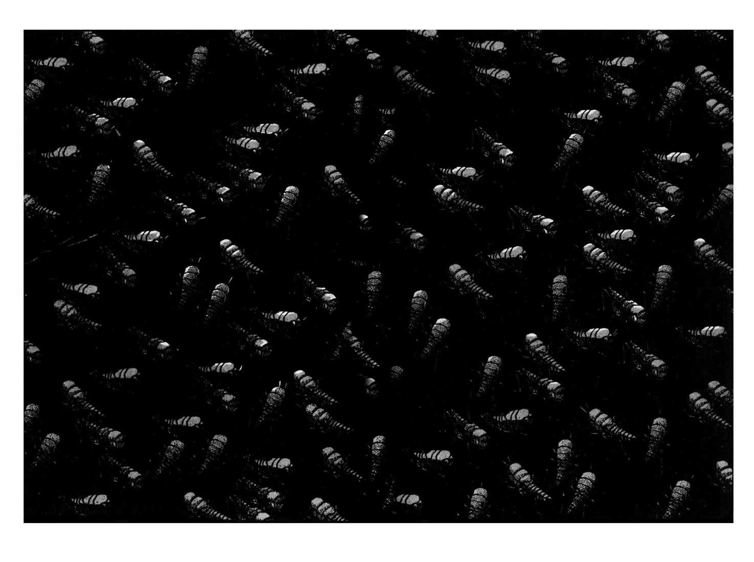 6-cm58p7pcl0008yg3gvq7jp47t